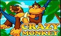 Crazy Monkey