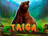 Taiga